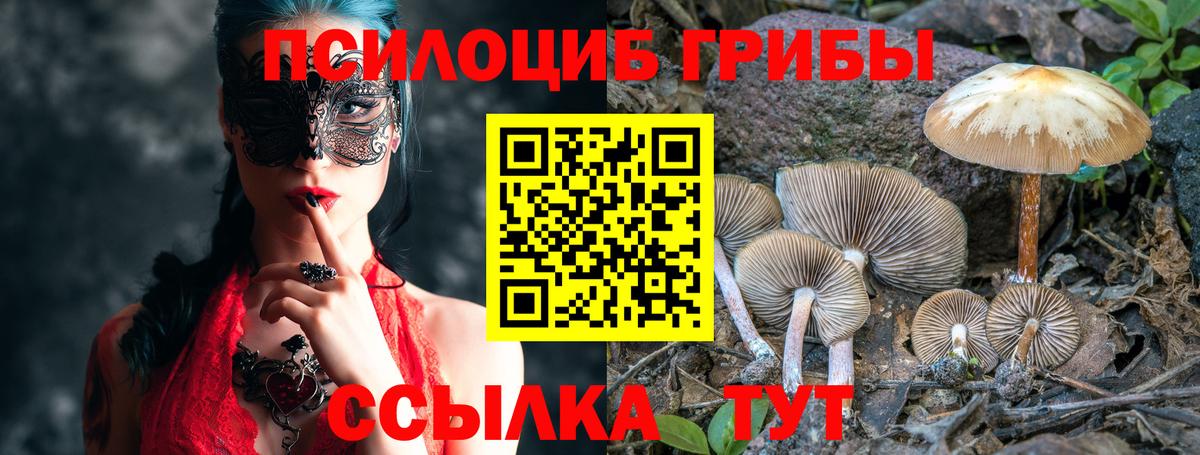 Галлюциногенные грибы GOLDEN TEACHER Череповец