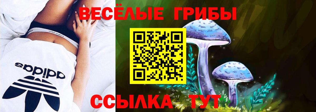 Череповец  Галлюциногенные грибы мухоморы  Вход с VPN 